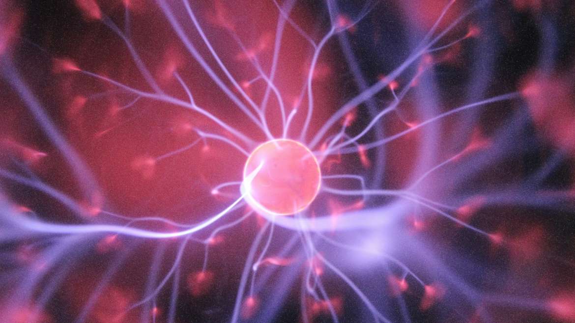 Why Learning to Drive Rewires Your Brain: The Neuroscience Behind Every Lesson